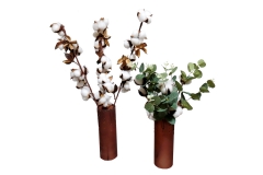 197 Dekorativne grane pamuka